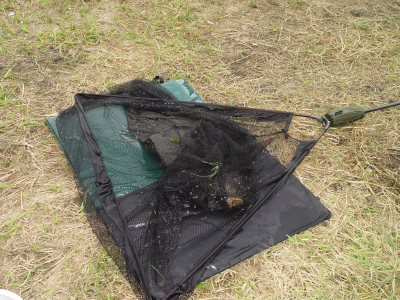 http://www.carptime.ru/alboms/3/6555/c.jpg
