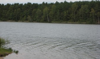 img_4065.JPG