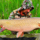 Probaits фотография